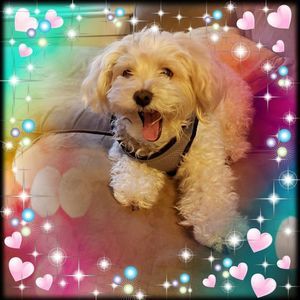 Meet your Posher, Gayathri